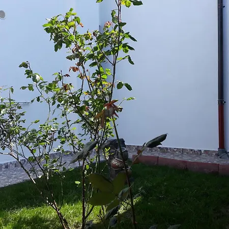 Aparthotel Sunshine Năvodari
