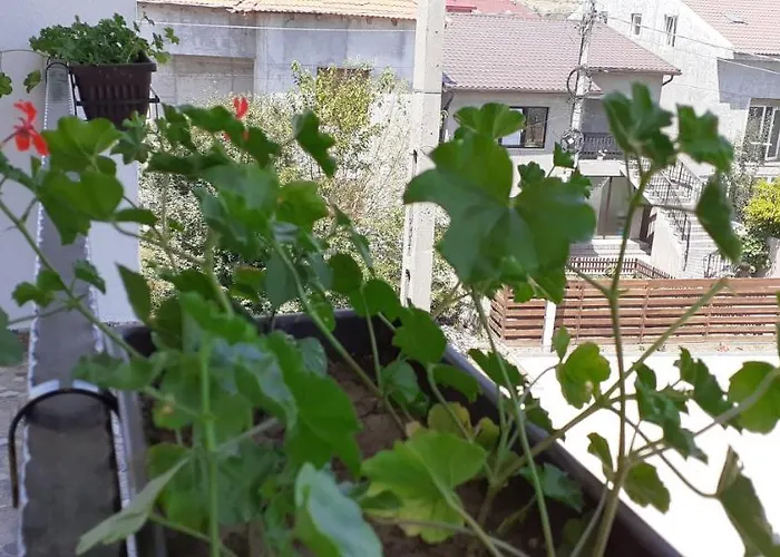 Sunshine شقة فندقية Năvodari