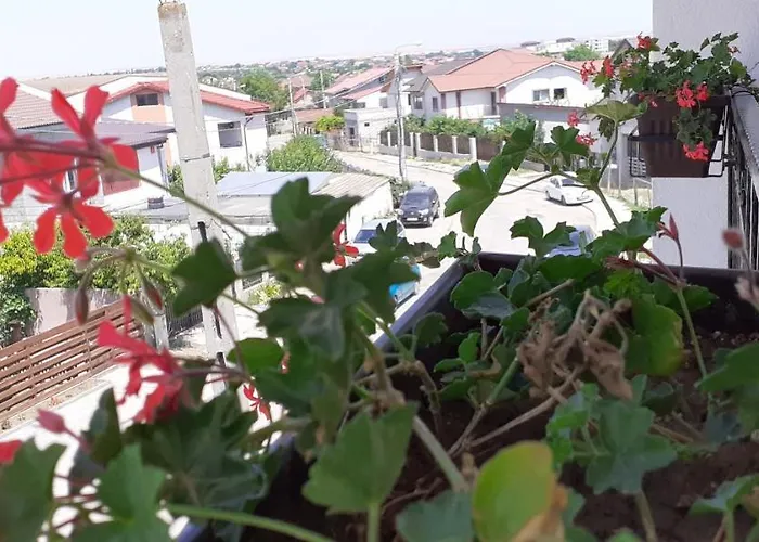 شقة فندقية Sunshine 3*