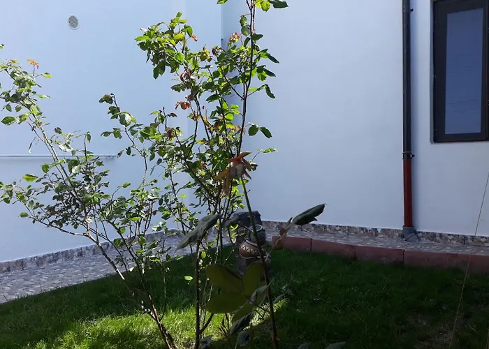 شقة فندقية Sunshine Năvodari